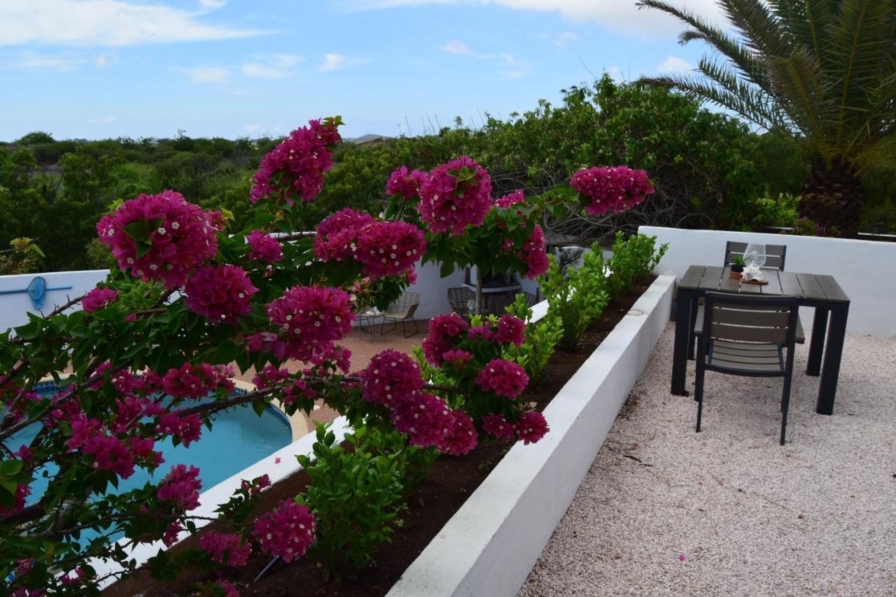 Saint Joris A Tiny Boutique Resort ウィレムスタッド エクステリア 写真