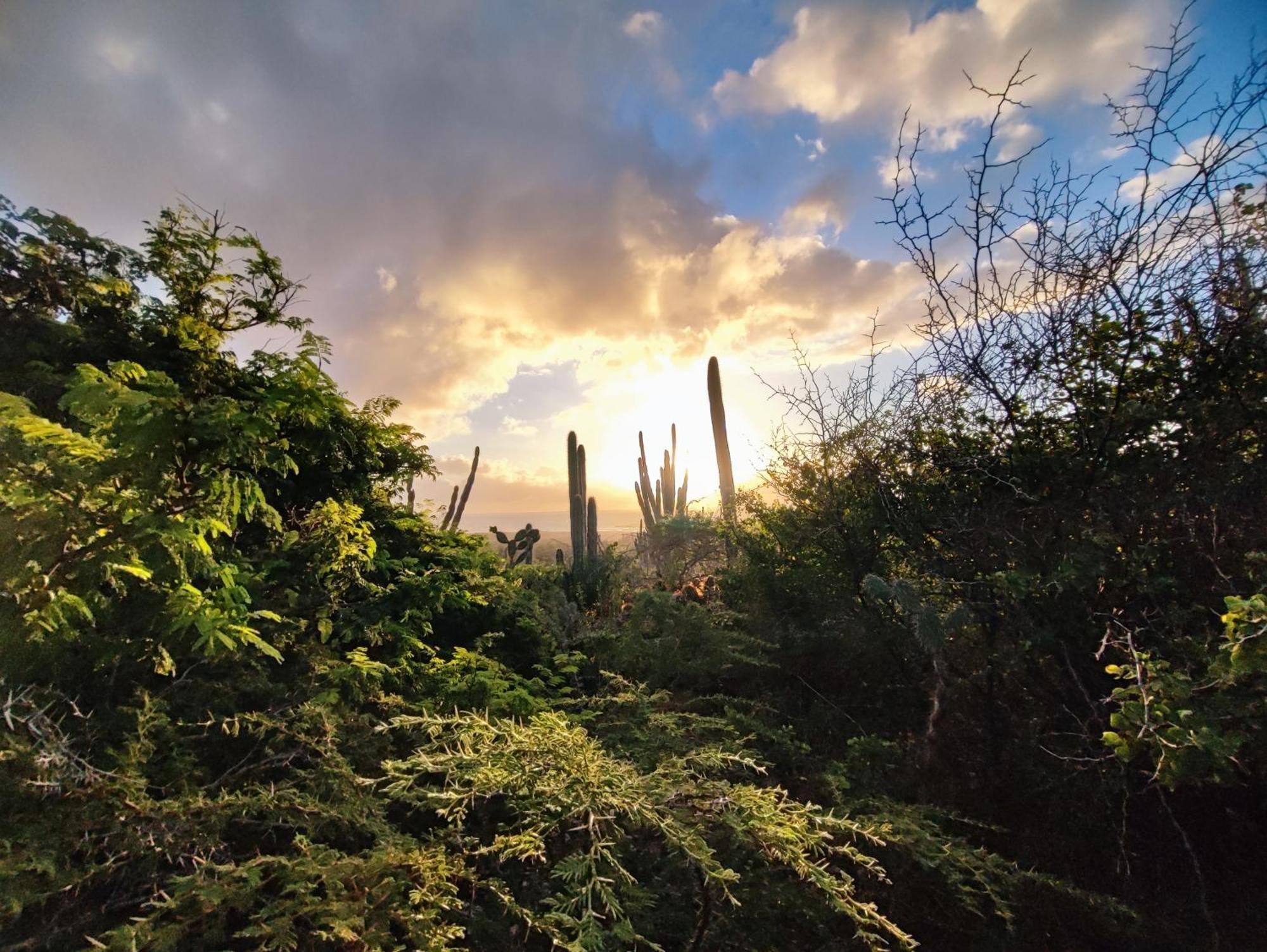Saint Joris A Tiny Boutique Resort ウィレムスタッド エクステリア 写真