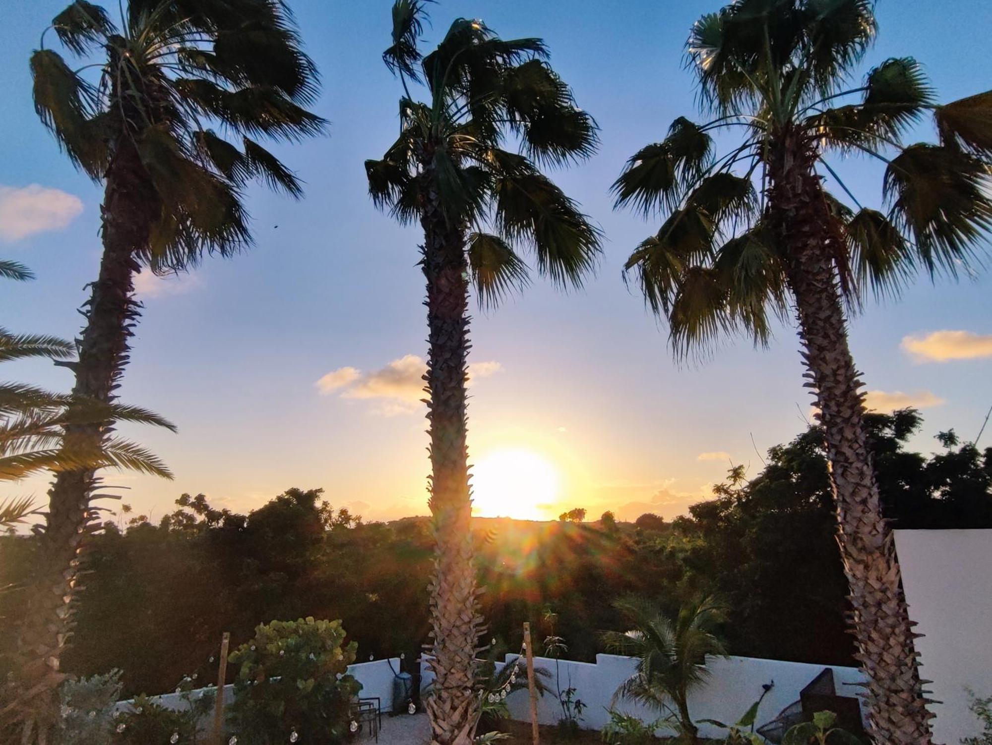 Saint Joris A Tiny Boutique Resort ウィレムスタッド エクステリア 写真