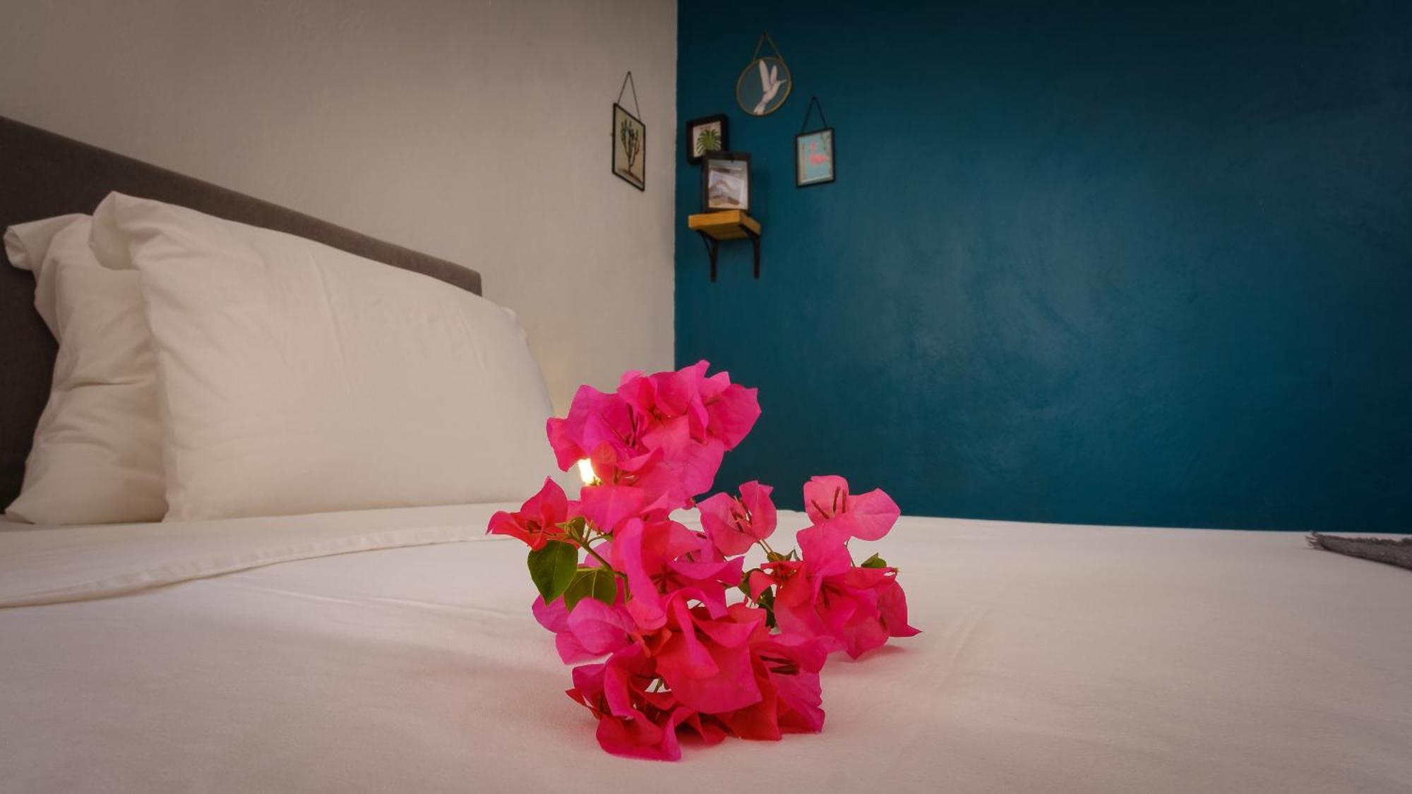 Saint Joris A Tiny Boutique Resort ウィレムスタッド エクステリア 写真